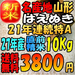 はえぬき白米10kg